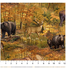 Northcott Wilderness Naturescapes - Scenic