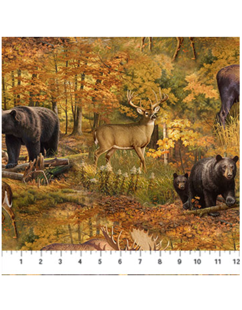 Northcott Wilderness Naturescapes - Scenic