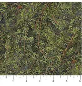 Northcott Wilderness Naturescapes - Evergreens