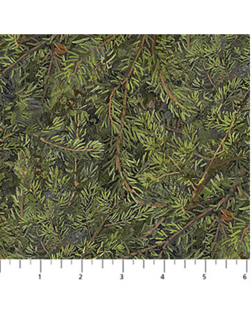 Northcott Wilderness Naturescapes - Evergreens