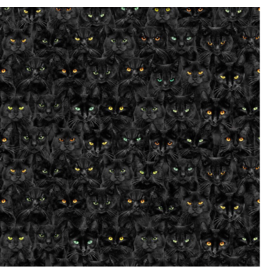 Timeless Treasure Wicked Black Cats Magic - Black - CD1831