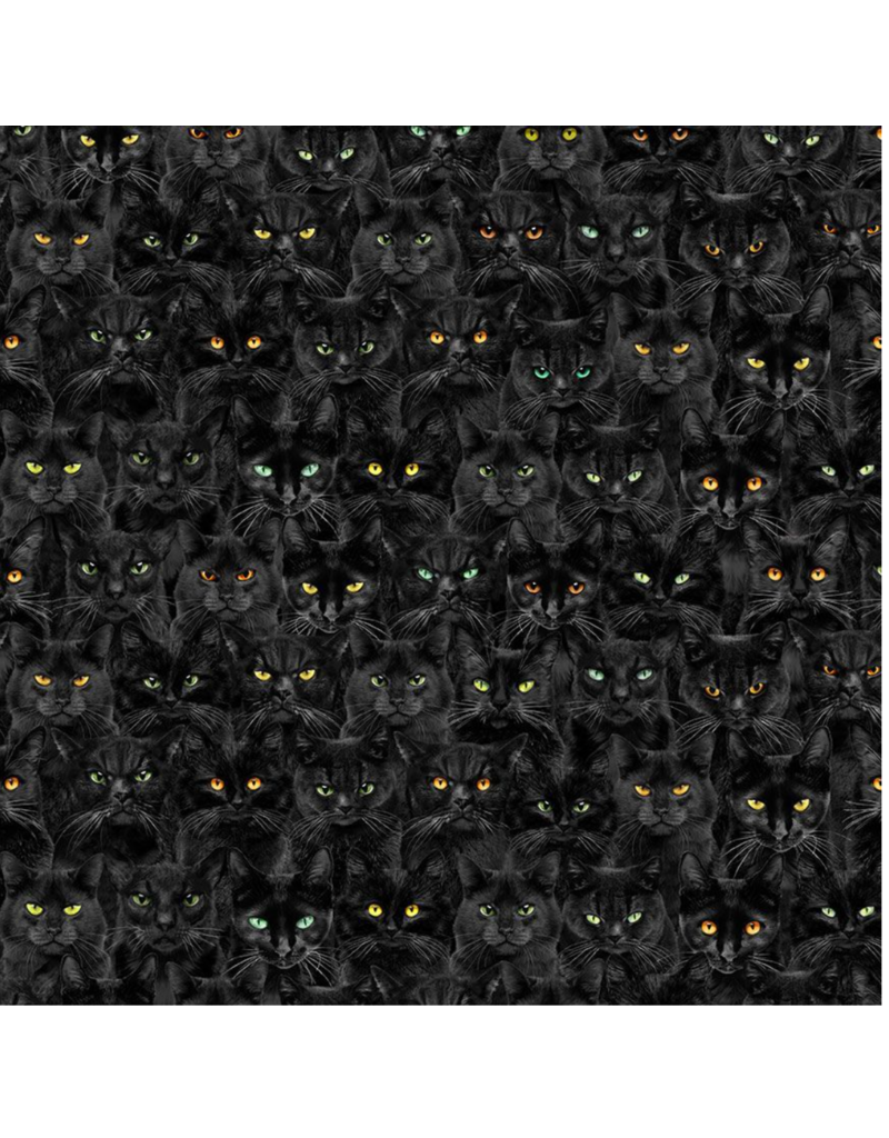 Timeless Treasure Wicked Black Cats Magic - Black - CD1831