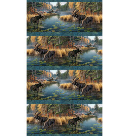 Northcott Autumn Woodland - Border Stripe   DP28411-48