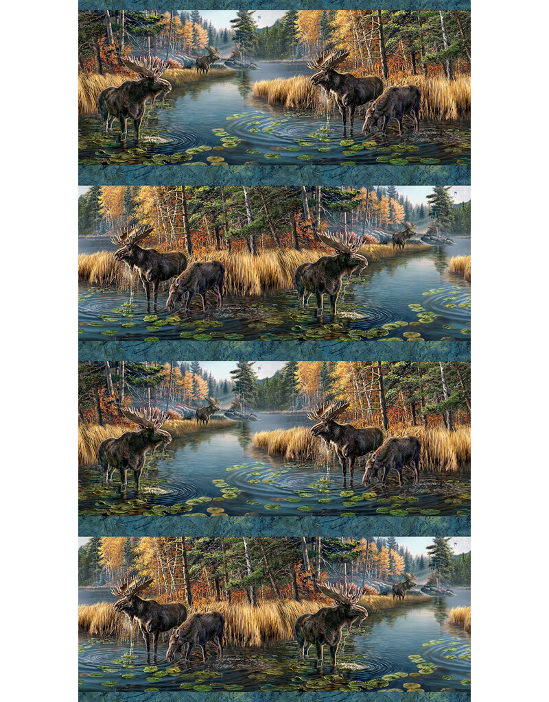 Northcott Autumn Woodland - Border Stripe   DP28411-48