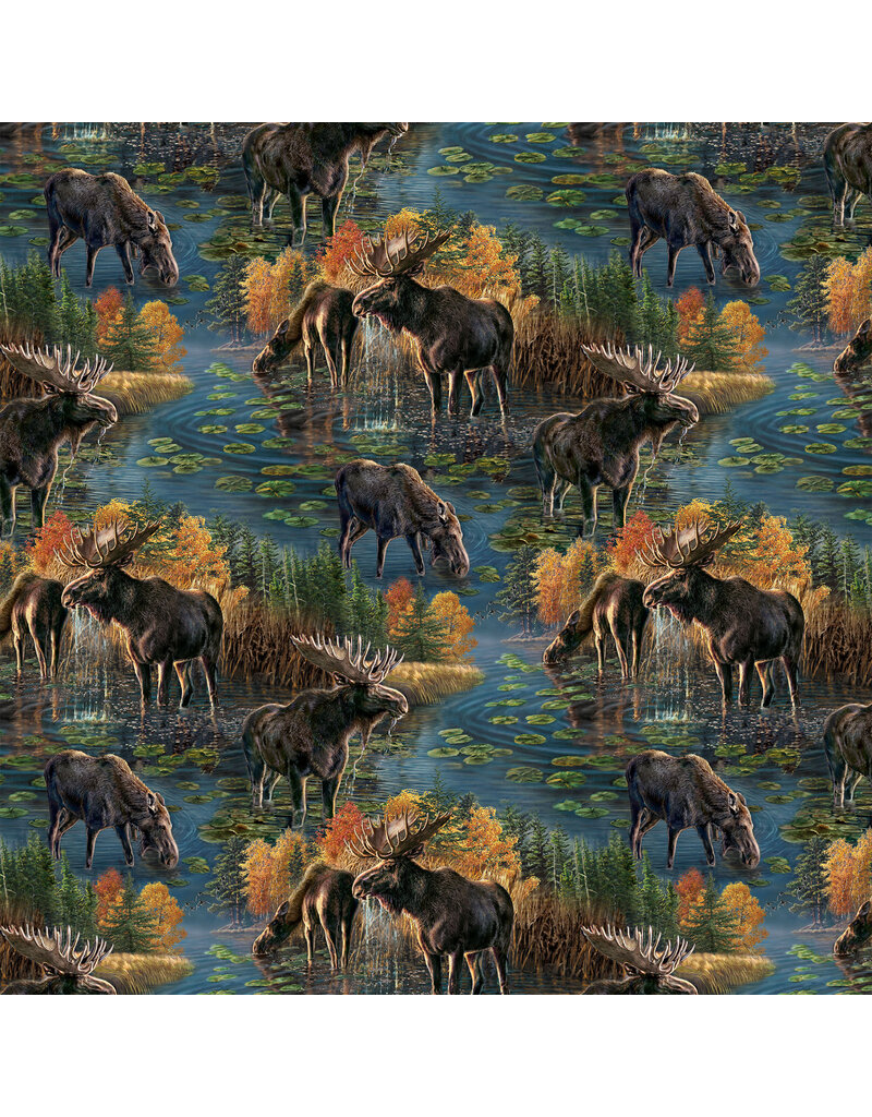 Northcott Autumn Woodland - Scenic Blue Multi   DP28412-48