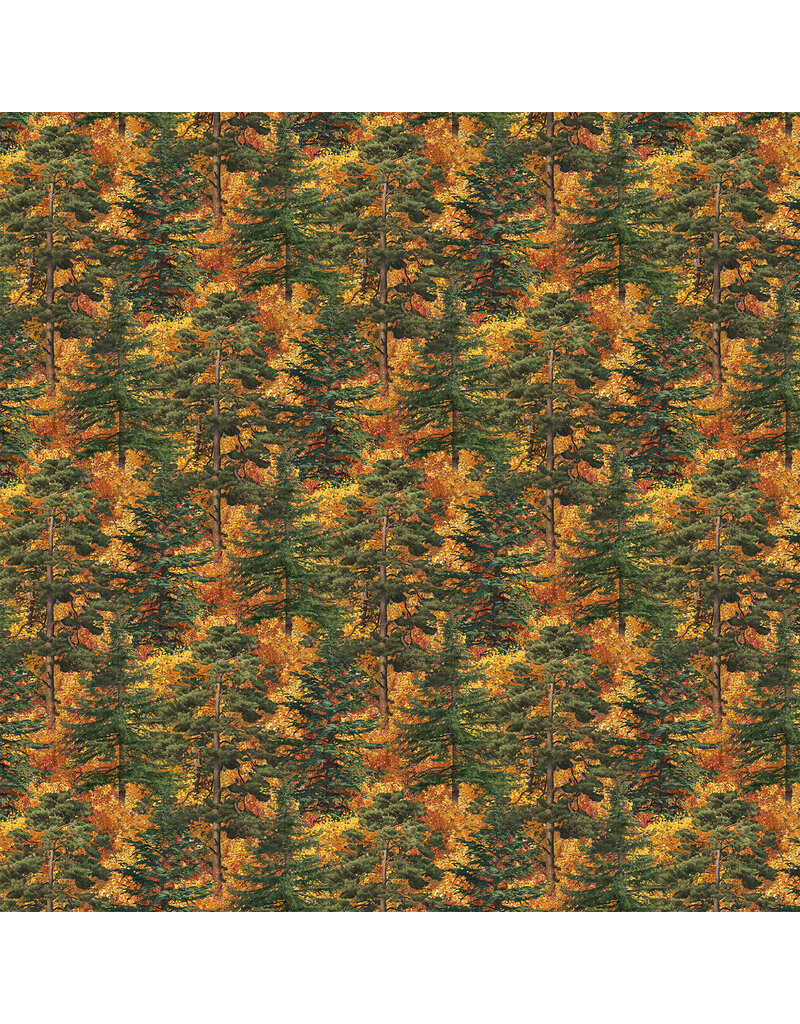 Northcott Autumn Woodland - Trees Rust - DP28413-37