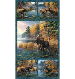 Northcott Autumn Woodland - Panel - DP28410-48