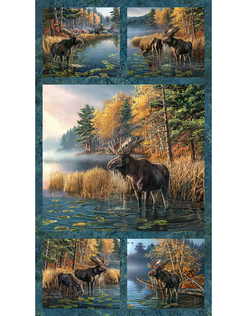Northcott Autumn Woodland - Panel - DP28410-48