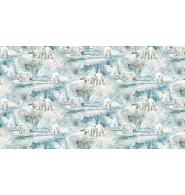 Northcott Tundra Crossing - Tundra Scenic - DP28292-42