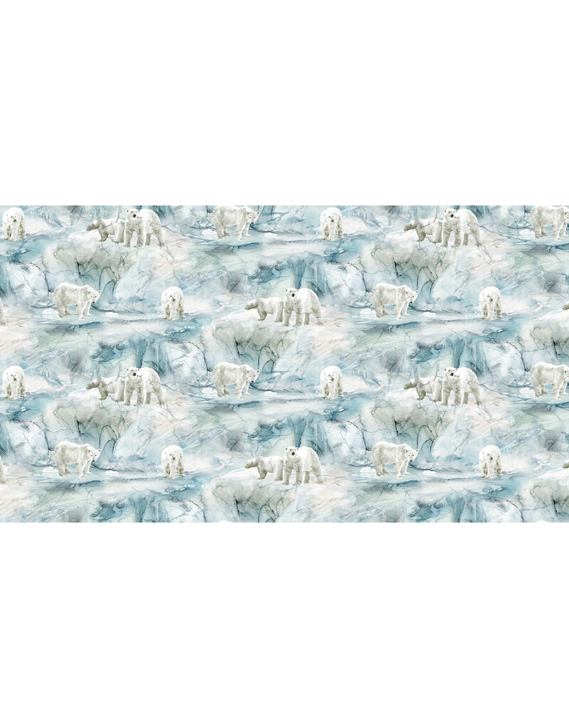 Northcott Tundra Crossing - Tundra Scenic - DP28292-42