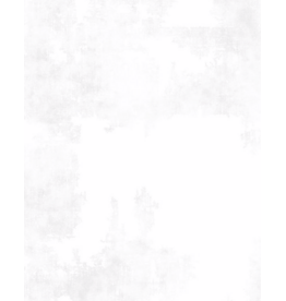 Wilmington Prints Essentials Dry Brush -   White  (100)