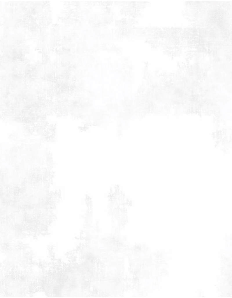 Wilmington Prints Essentials Dry Brush -   White  (100)