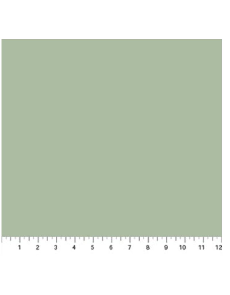 Northcott ColorWorks  Frosted Pine  9000-713