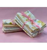 Orchard Pollinators fat quarter bundle (6)
