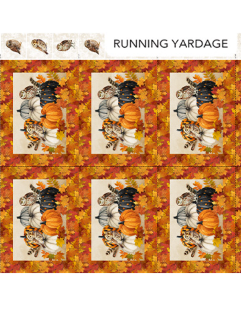 Northcott Night Owl - Placemats (sold in 2 units)