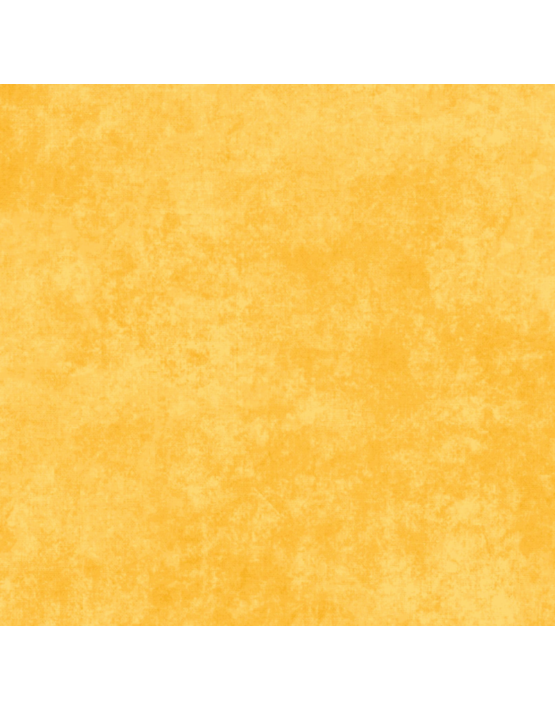 Maywood Studio Collection Shadow Play--Daffodil