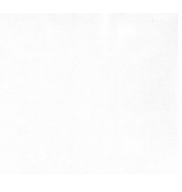 Quilters Select Linen Wide Backing - White