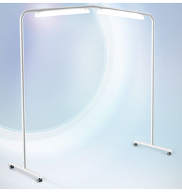 Pre-owned Free Standing Light Station - 6ft