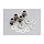 5529 - Shim set, 3x7x1mm (2), 3x6x0.5mm (4), 3x7x2mm (2)/ hollow balls, captured (4)