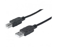 ICI393829 - A-Male to B-Male USB 2.0 Cable (10ft)
