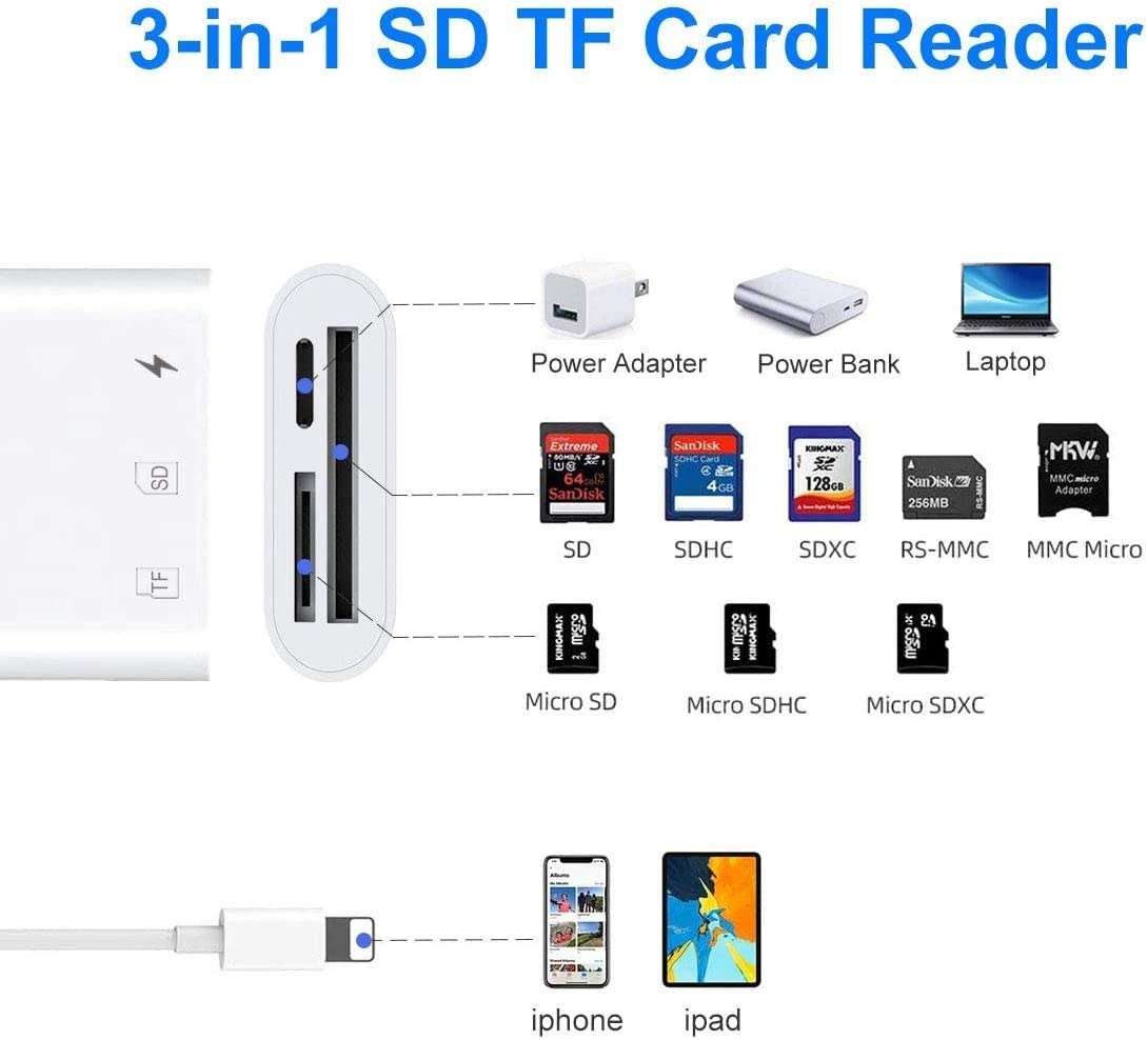 LIGHT-SD-READ - Belcompany - [Apple MFi Certified] Lightning to SD/Micro Card  Reader for iPhone/iPad