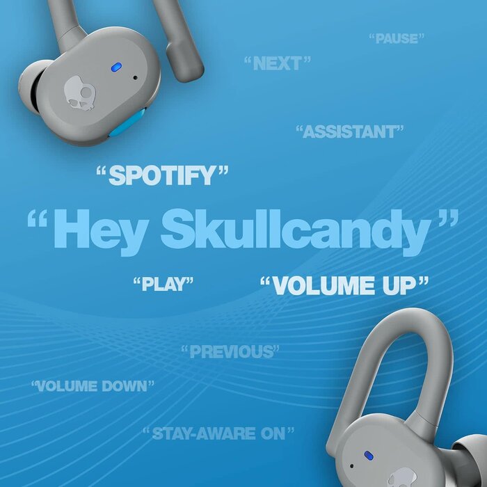 SkullCandy Push Active Wireless Earbuds