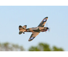 RageRC RGRA1305 - P-40 Warhawk- 1/28 Micro-Scale Replica Warbird