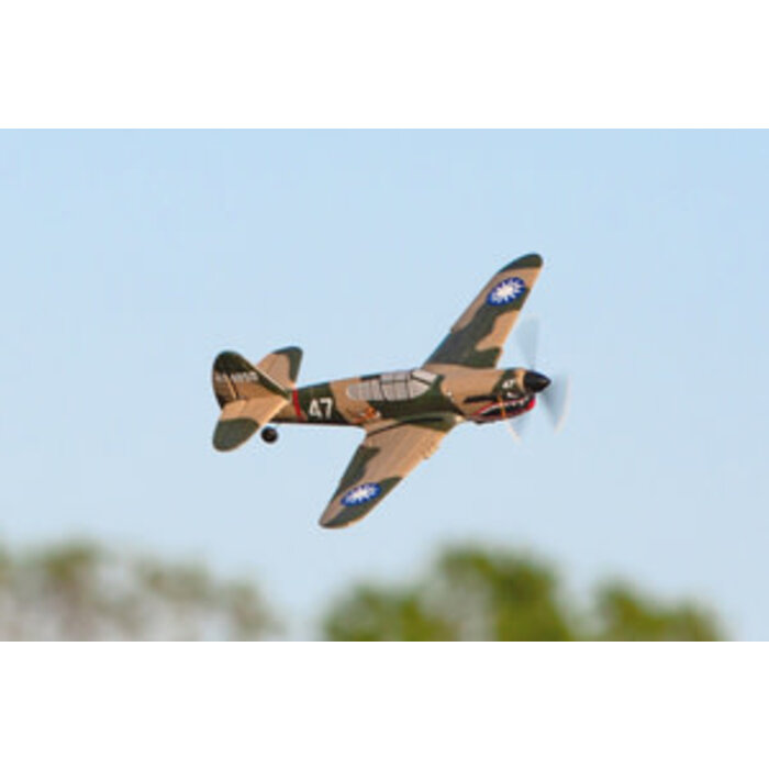 RageRC RGRA1305 - P-40 Warhawk- 1/28 Micro-Scale Replica Warbird