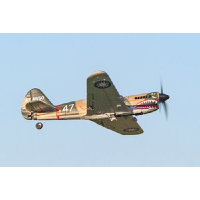 RageRC RGRA1305 - P-40 Warhawk- 1/28 Micro-Scale Replica Warbird