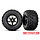 7871X - Black Chrome X-Maxx Wheels & Belted Sledgehammer Tires (2) X-Maxx 8s Belted & XRT