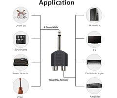 DL-RCA/F-1/4/M - GELRHONR 6.35mm Mono 1/4 Inch Male to RCA Female Splitter, Stereo Jack Male to RCA Female Adapter