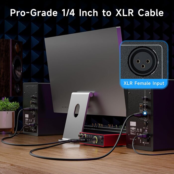 500014-3 - Cable Matters 6.35mm (1/4 Inch) Short TRS to XLR Cable - 3ft, Male to Male XLR to TRS Cable, Black – Not for Microphone Use