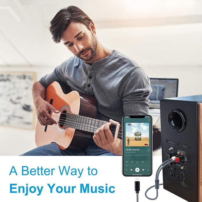 RCA2LIGHT-6FT - WorldBoyu Lightning to RCA Cable Audio Aux Adapter, Stereo Y Splitter Adapter for Select iPhone, iPad and iPod Models for Power Amplifier, Car, Home Theater, Speaker and More Silver 6FT