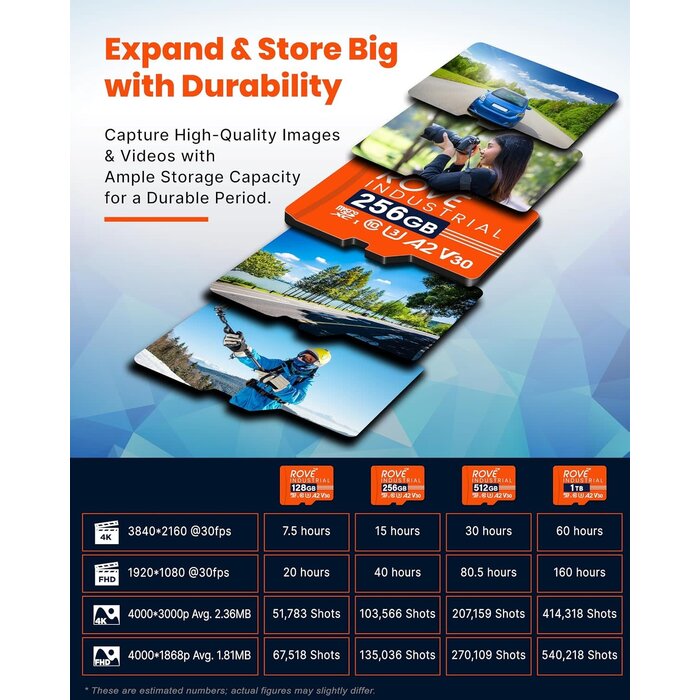 RI-256GB -  ROVE Industrial 256GB Micro SD Card with USB 3.0 Type C Card Reader, High Endurance microSDXC Memory Card 100MB/s Read Speed, C10, U3, V30, 4K, A2 for Dash Cam, Android Smart Phones, Tablets, Games