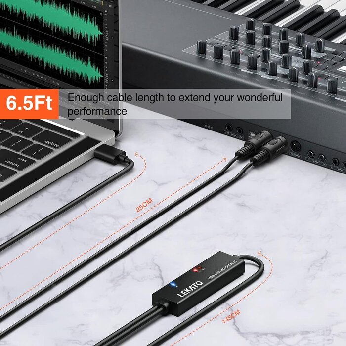 LUM-03 - LEKATO 6.5ft Dual In/Out Male 5-Pin MIDI Cable to Male USB-C, Type-C MIDI Interface with Input & Output Connecting Keyboard/Synthesizer for Editing Recording Professional Cord Windows/Mac Studio, Black