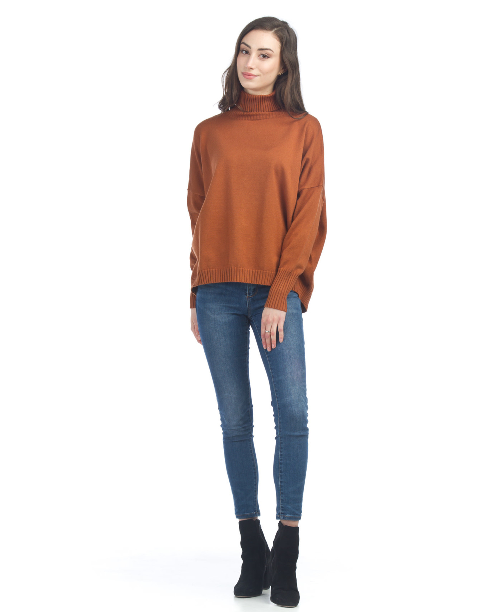 Large Roll Neck Sweater