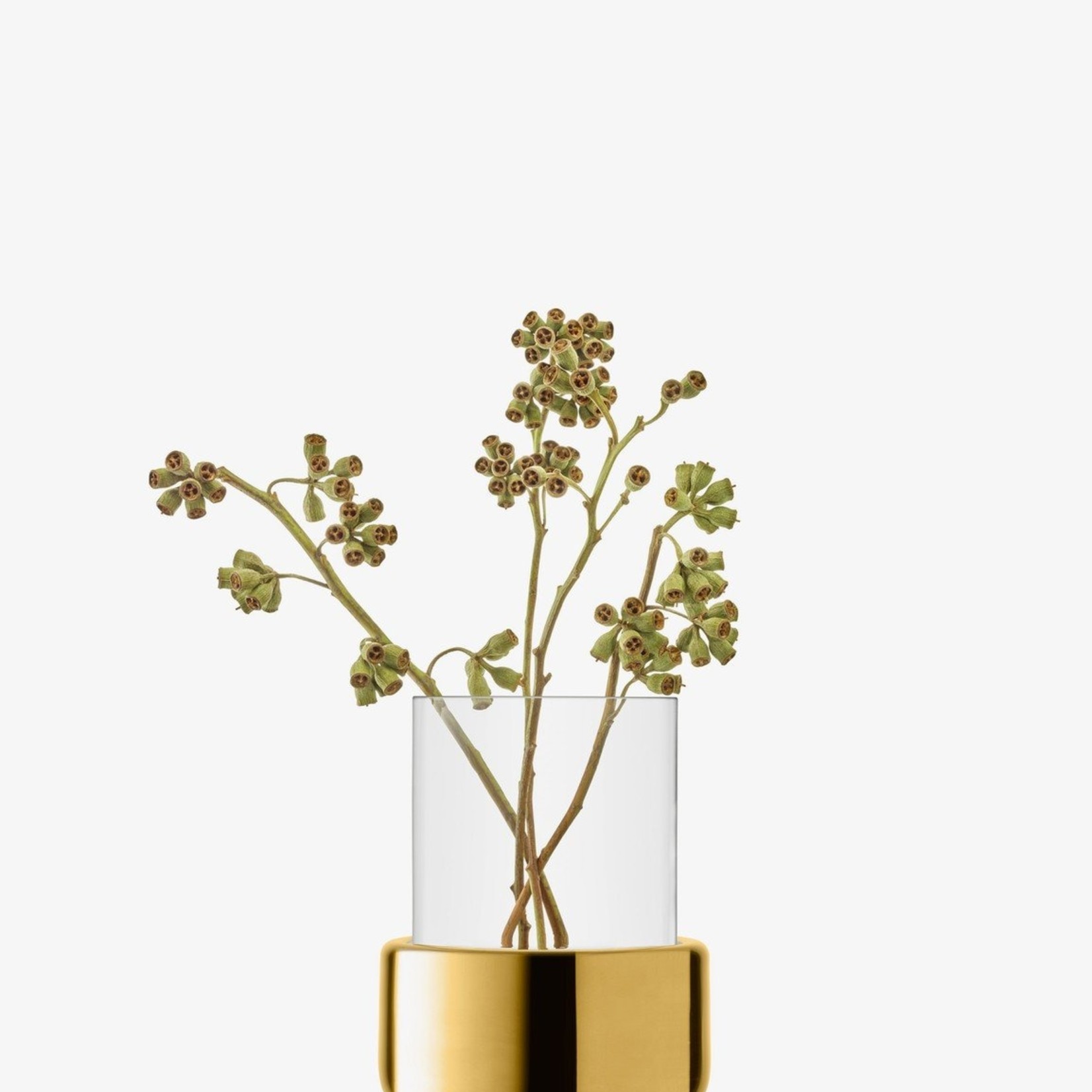 Aurum Lantern/Vase H7.75in, Clear/Gold
