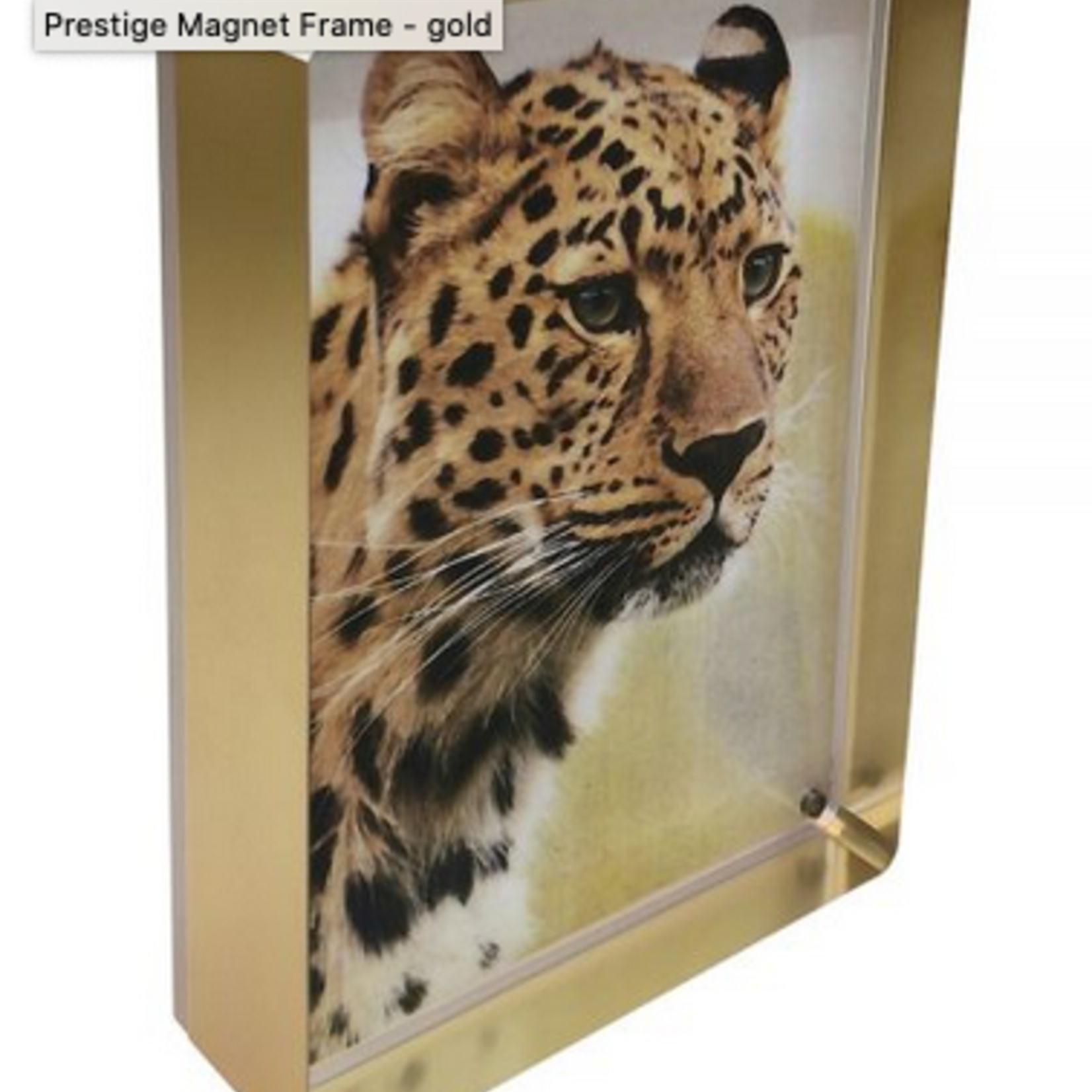 Prestige Magnet Frame, Gold