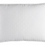 Emily Luxe Euro Pillow/Linen 27 x 36