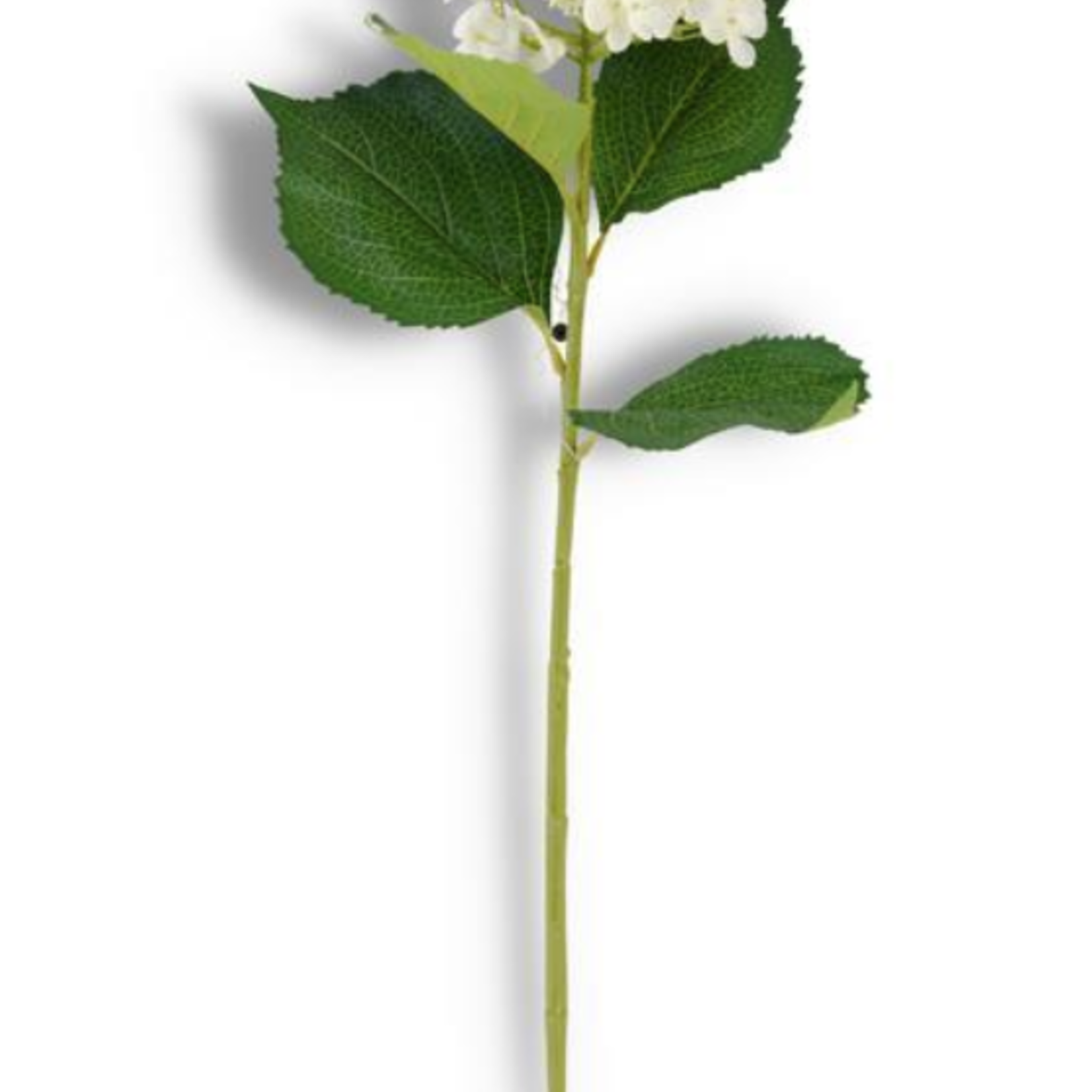 White Cone Hydrangea Stem, 38.5"