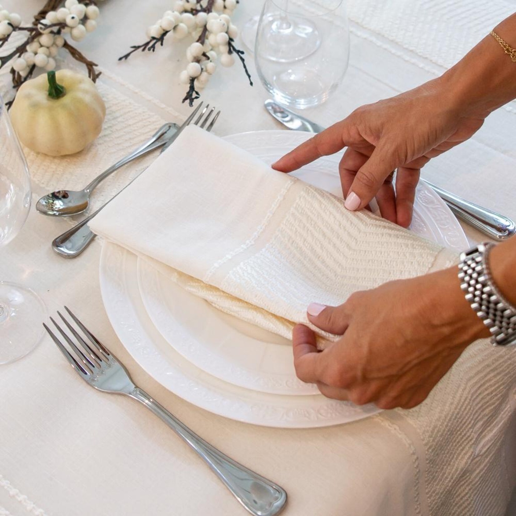 Ivory Linen + Acrylic Napkins / Stain Resistant SET/4
