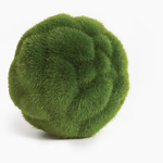 Mood Moss Orb