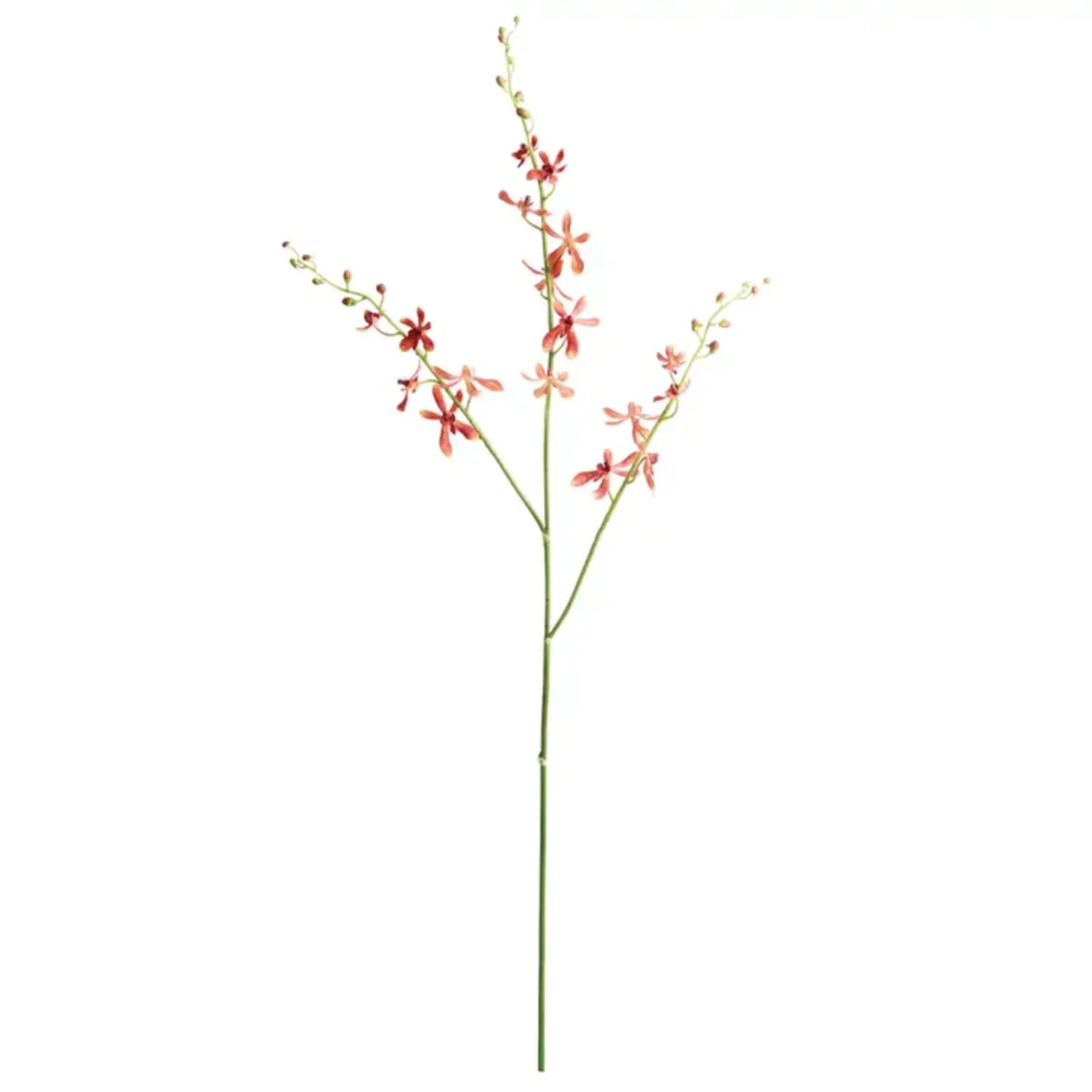 Orchid Stem 38"