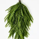 Faire/Worth Imports 31" Artificial Christmas Spruce Cedar Teardrop Swag