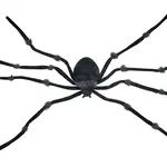 47" Black Giant Spider