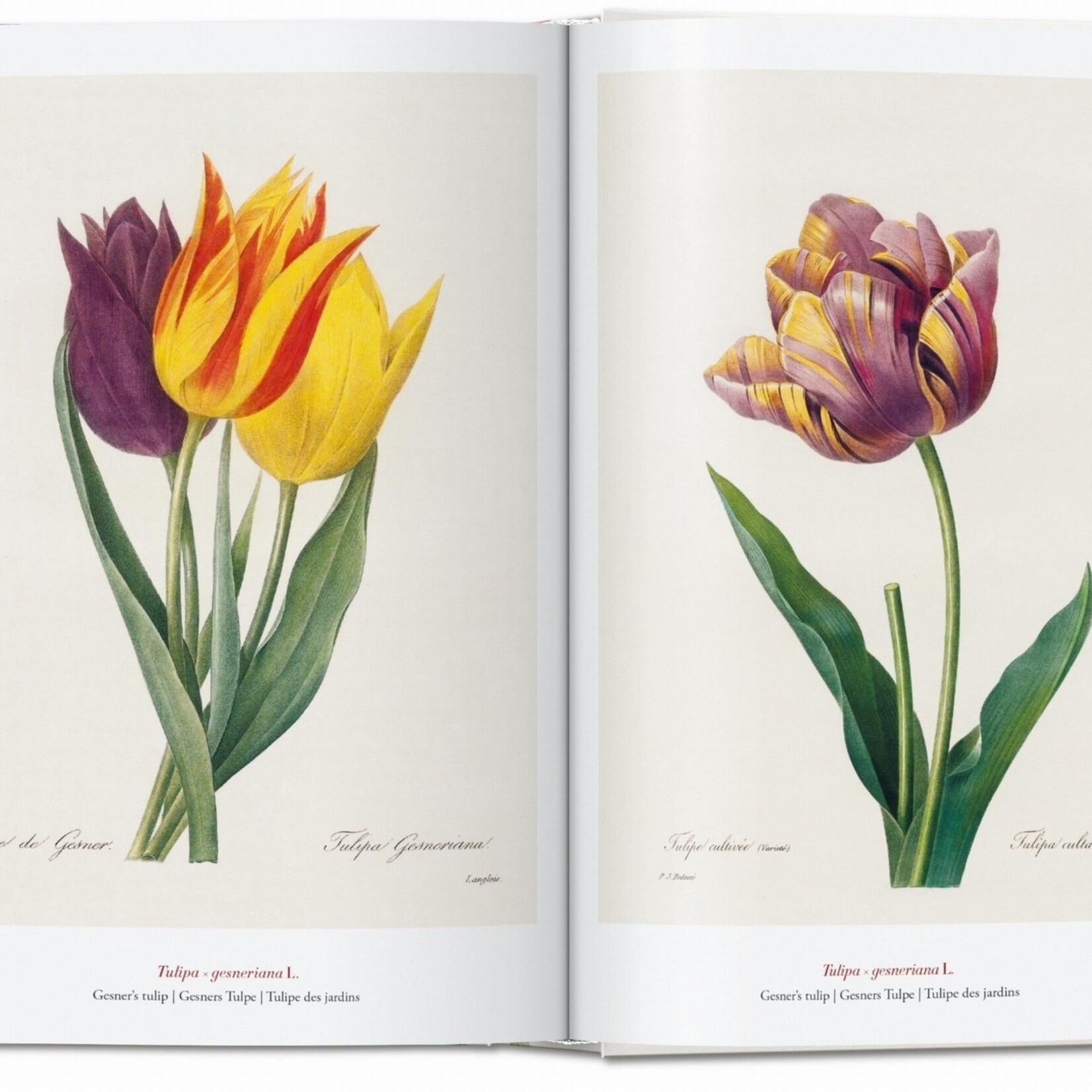 Taschen The Book of Flowers