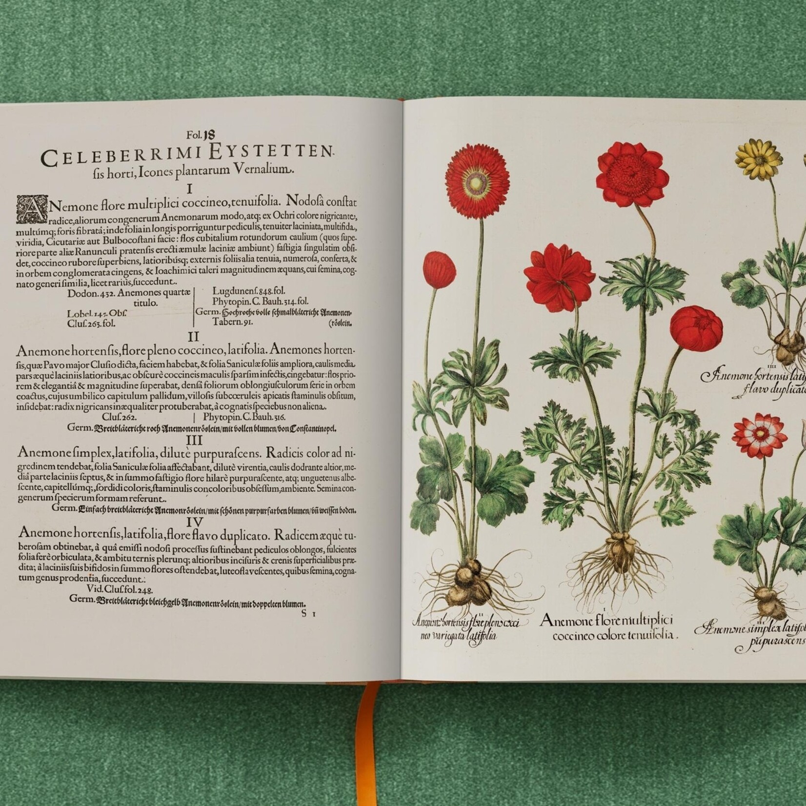 Taschen Basilius Besler, The Garden at Eichstatt