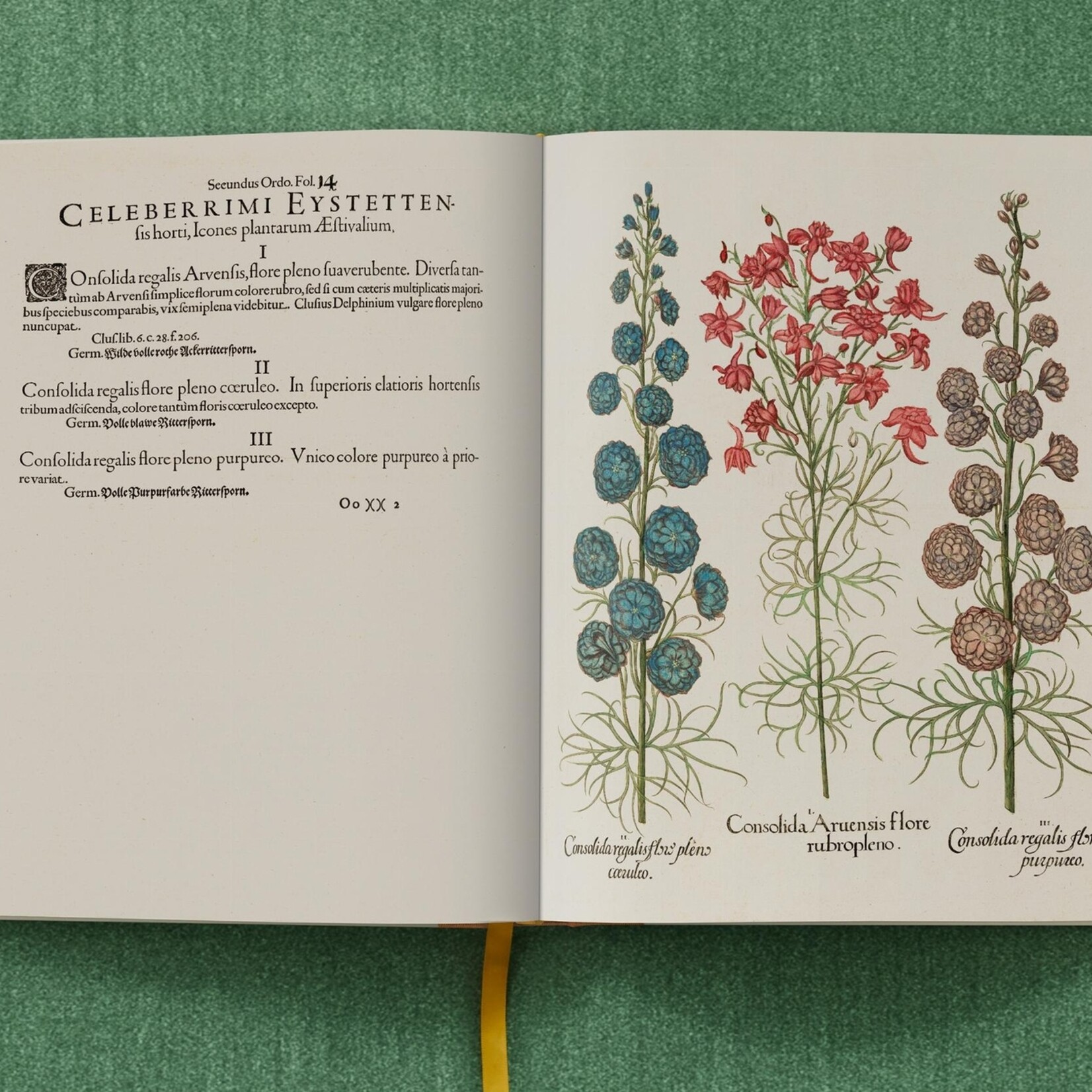 Taschen Basilius Besler, The Garden at Eichstatt