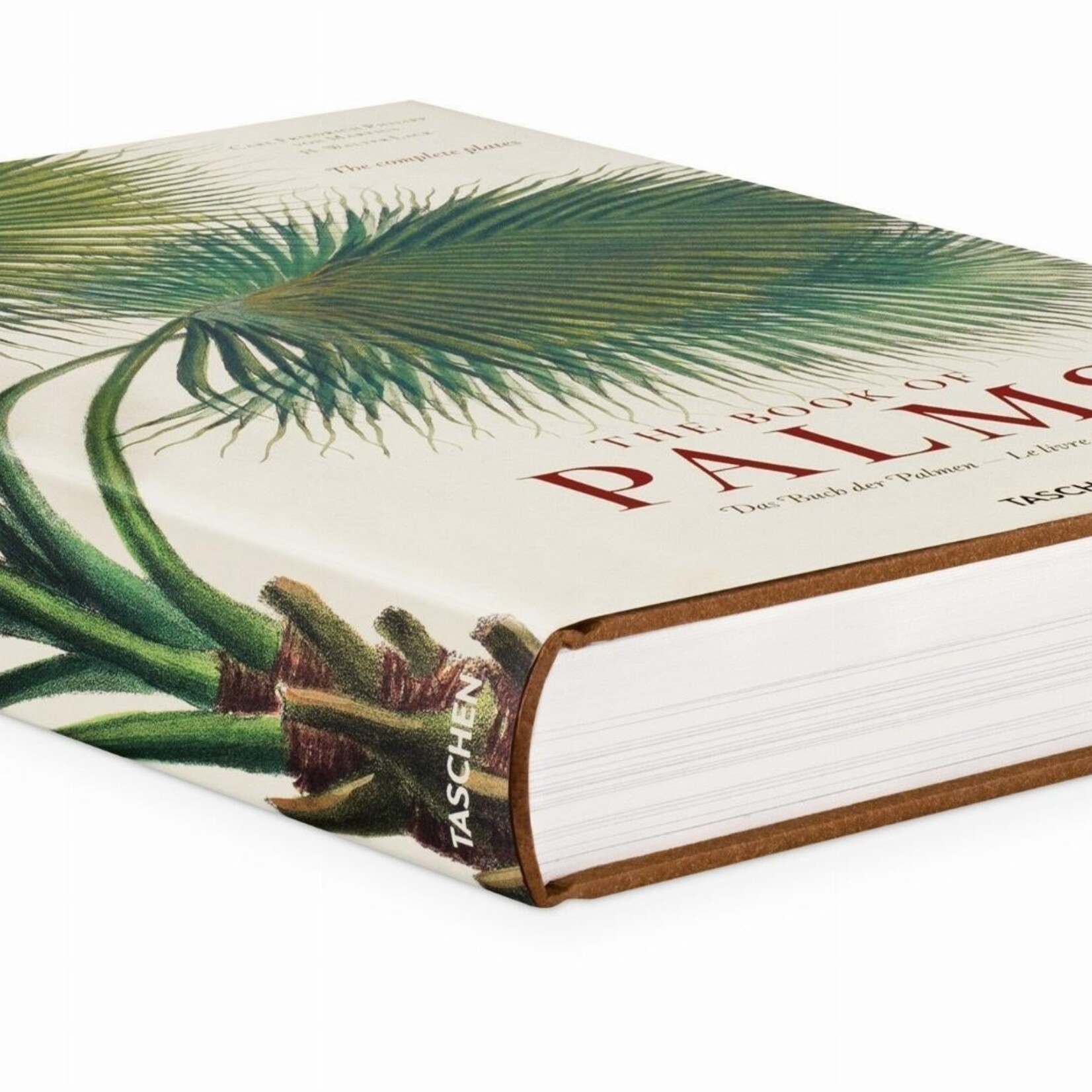 Taschen Martus, The Book of Palms