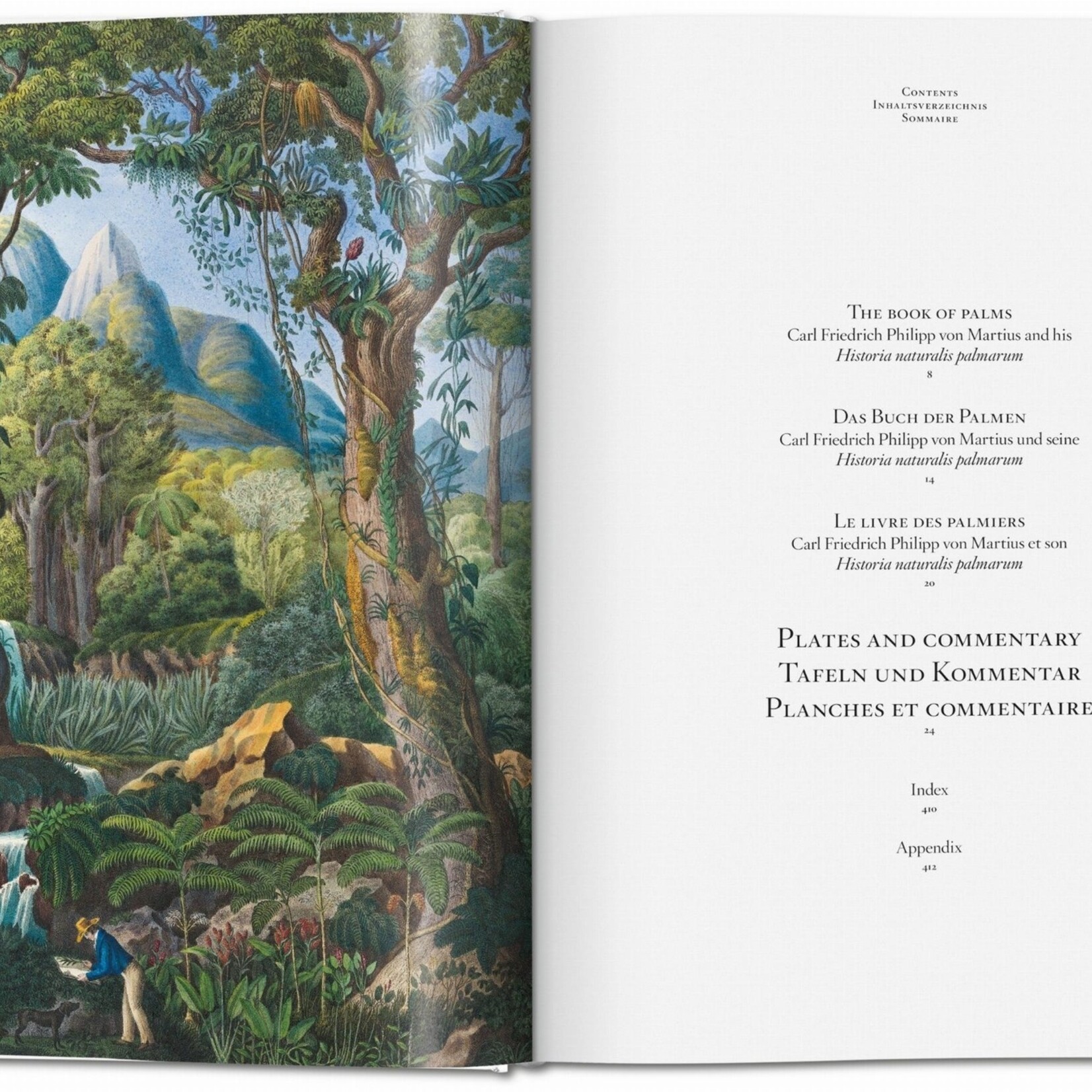 Taschen Martus, The Book of Palms